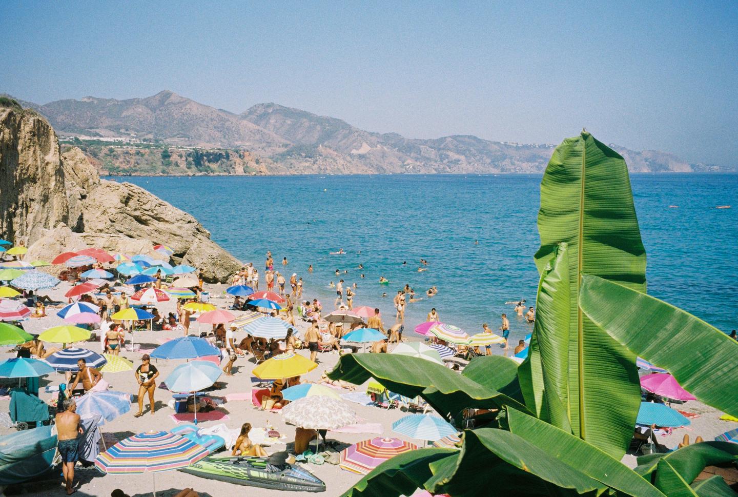 A crowded beach with many colorful umbrellas and people swimming in the ocean is seen from behind large green leaves.