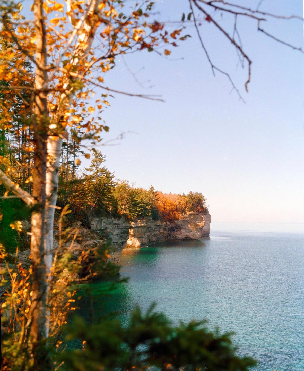 A cliff covered in autumn trees overlooks a body of water under a clear sky.