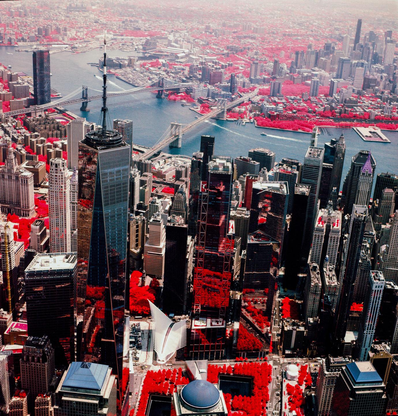 An aerial view shows a city with a river and bridges, with all the trees appearing red.