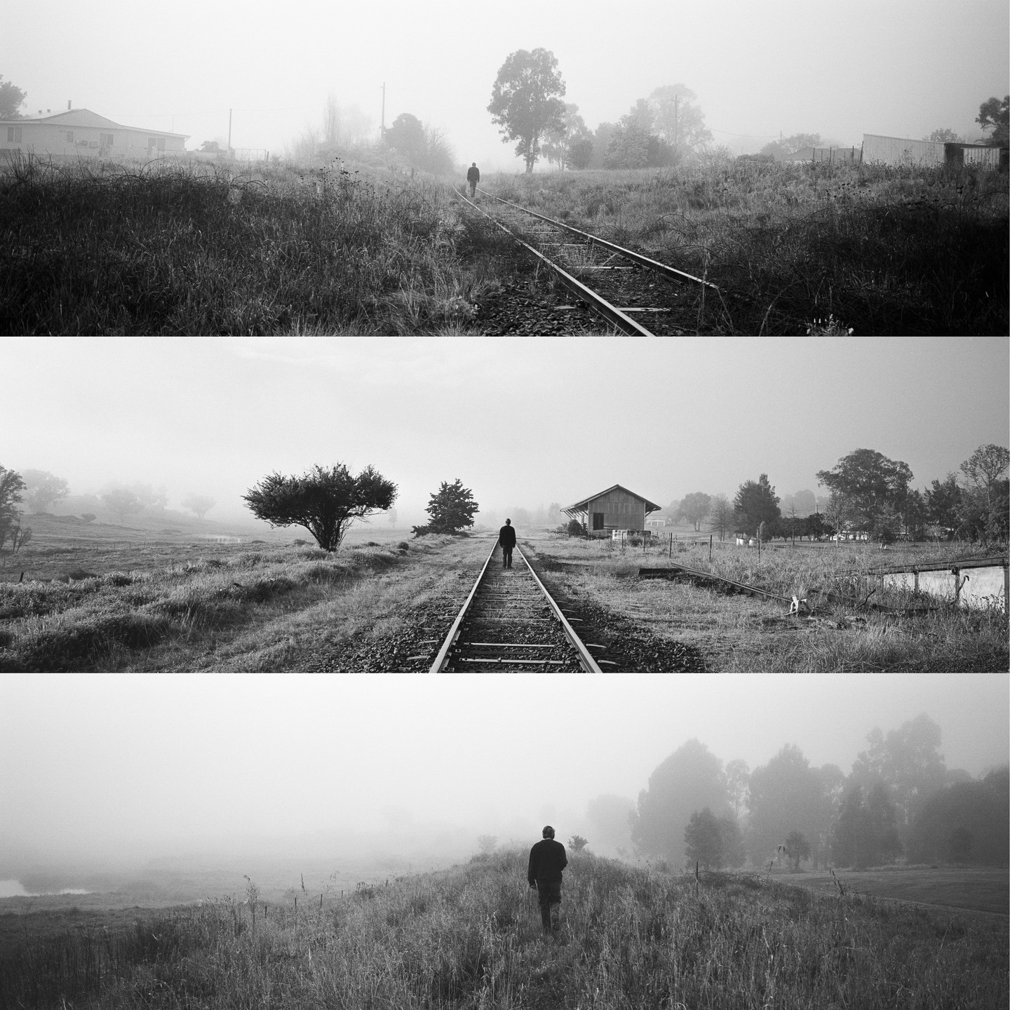 A man walks away from the viewer on a foggy morning in a triptych of three black and white images.