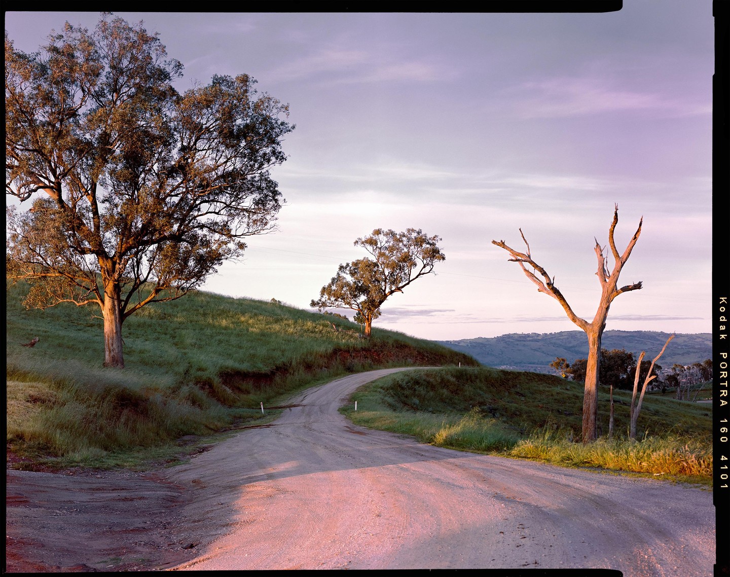 A dirt road winds through a grassy hill with trees under a pastel sky.