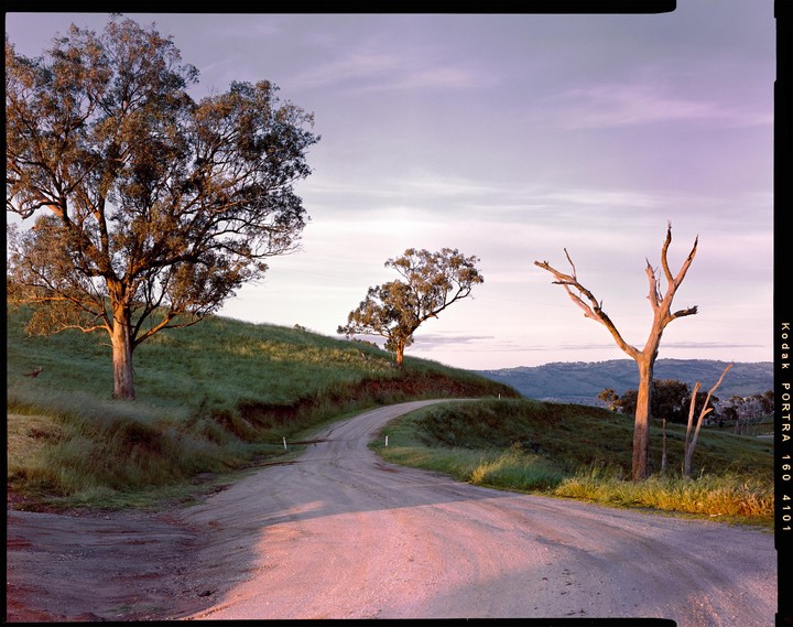 A dirt road winds through a grassy hill with trees under a pastel sky.