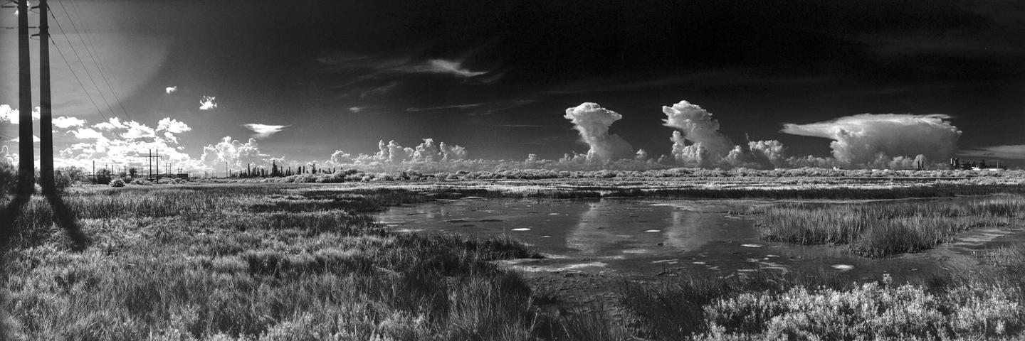 A panoramic black and white landscape shows a marshy field with power lines and dramatic clouds in the sky.
