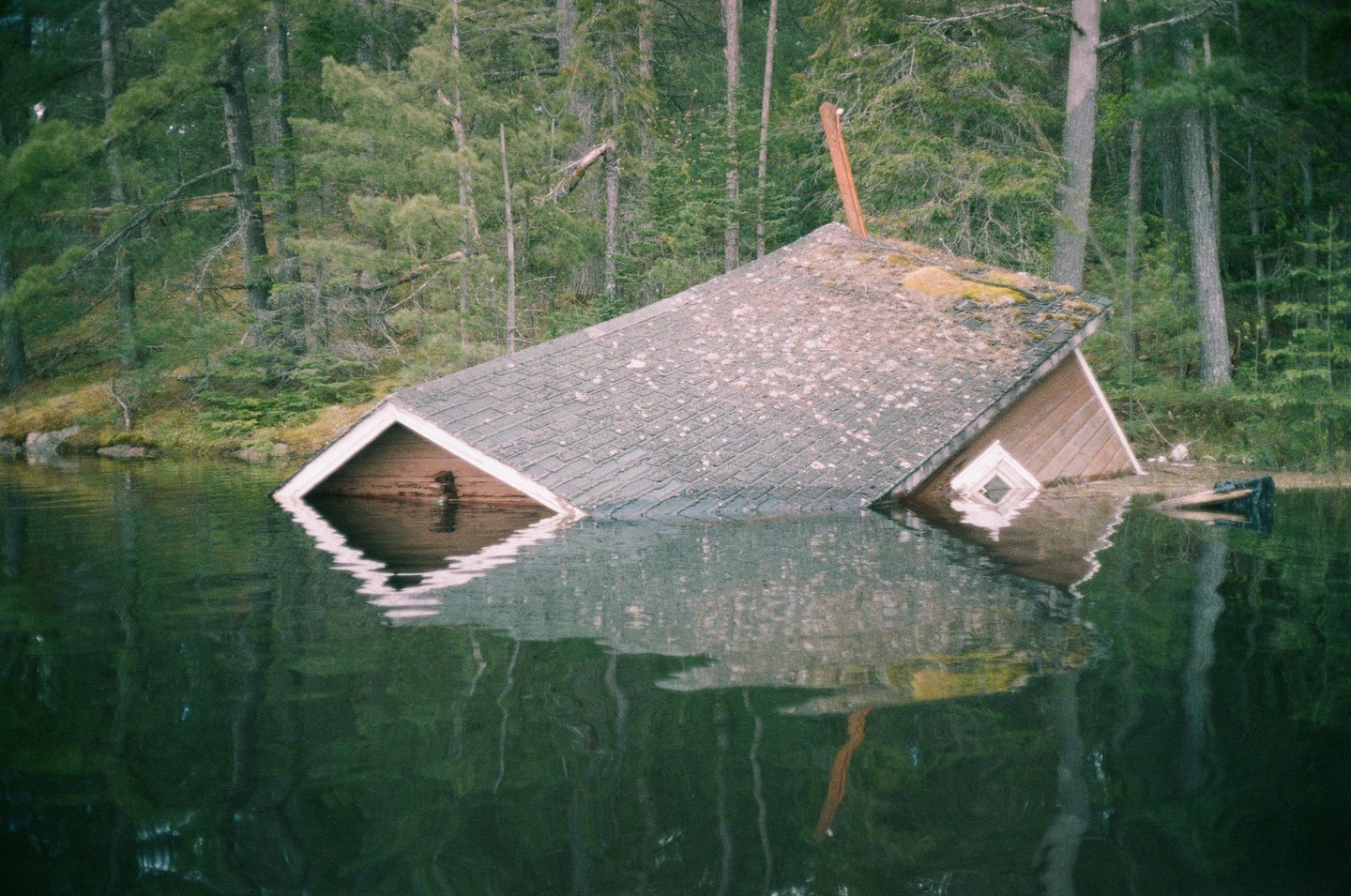 A partially submerged building with a shingled roof is sinking into a body of water, surrounded by a dense forest.