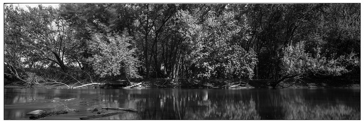 A river flows past a dense forest with fallen branches along the bank.