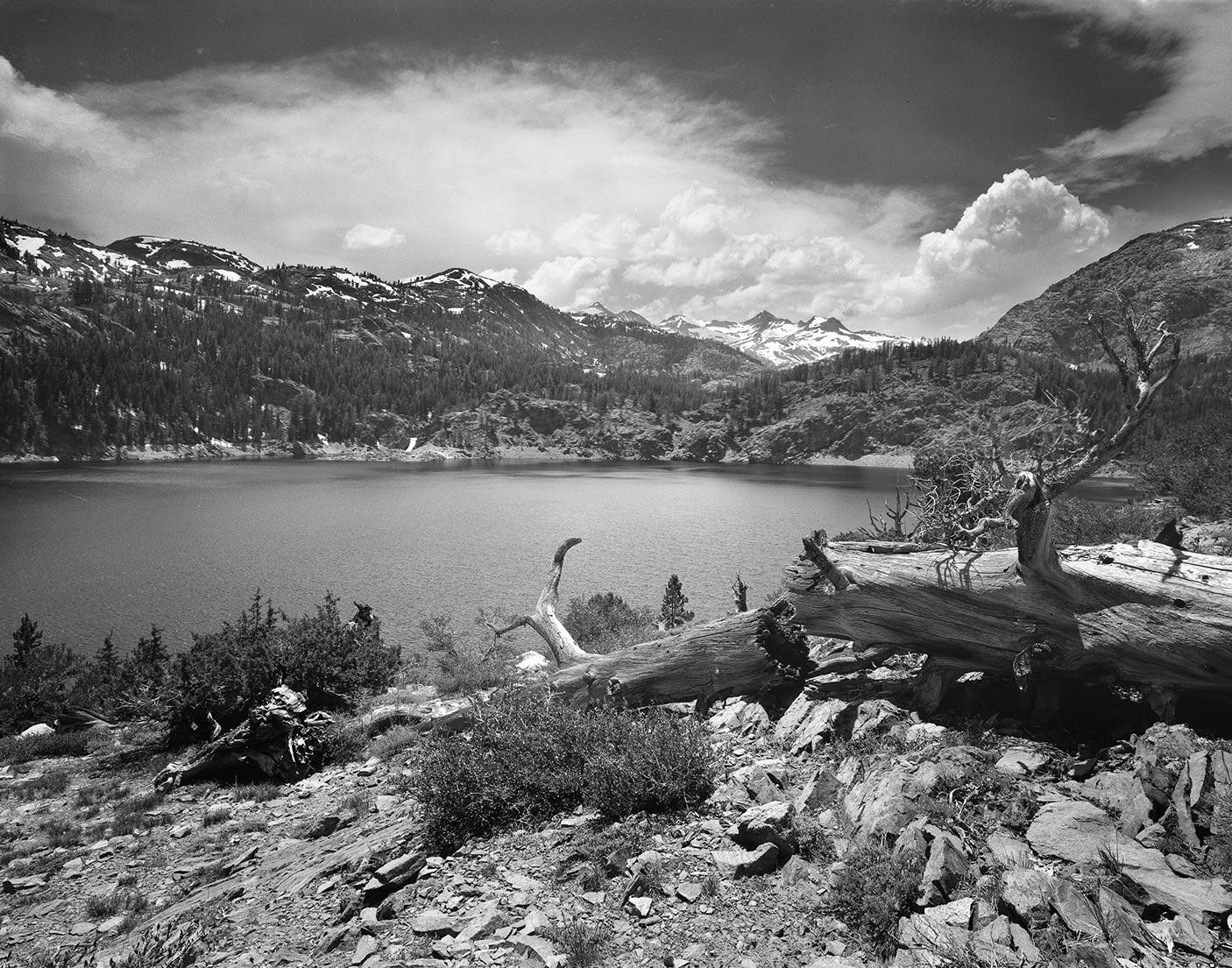 A fallen tree trunk lies on a rocky slope overlooking a lake surrounded by mountains with snow-capped peaks.