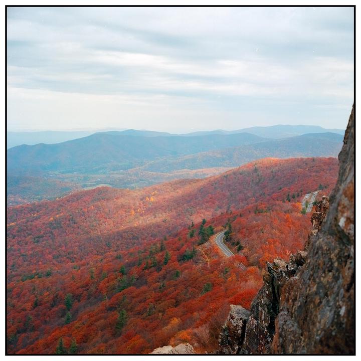 A winding road cuts through a mountain landscape covered in autumn foliage under a cloudy sky.