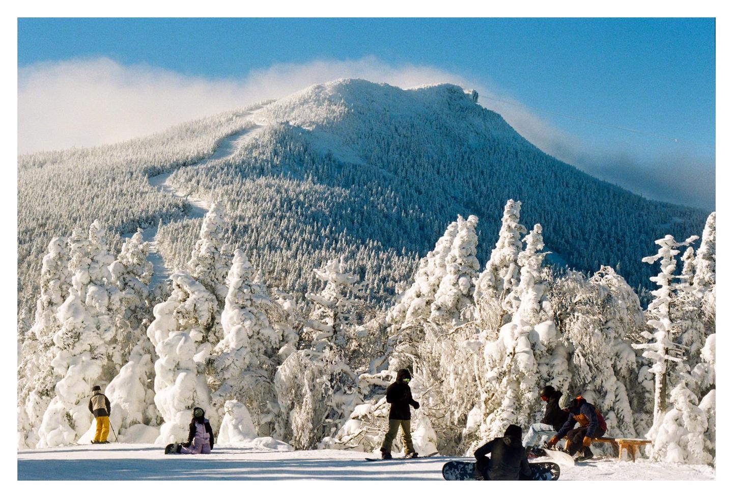 Snowboarders are gathered on a snowy mountain with snow-covered trees and a mountain peak in the background.