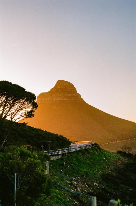 A winding road curves around a mountain at sunset, with a large tree in the foreground.