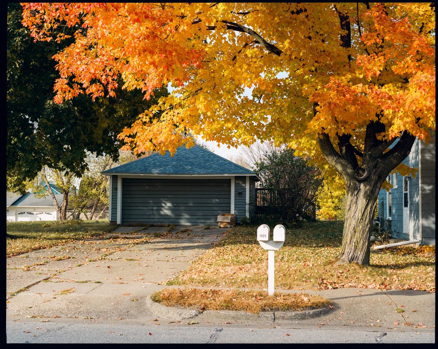 A garage and a mailbox are visible behind a tree with autumn foliage.