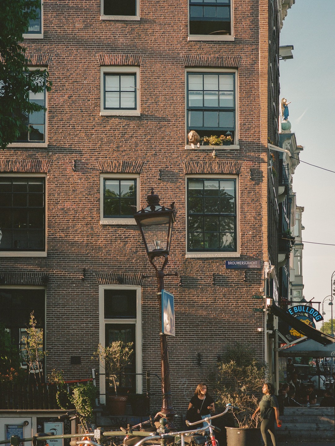A dog looks out of a window in a brick building on a street corner in Amsterdam.